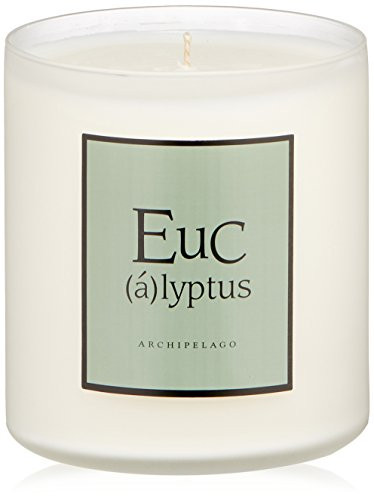 Archipelago Eucalyptus Soy Candle