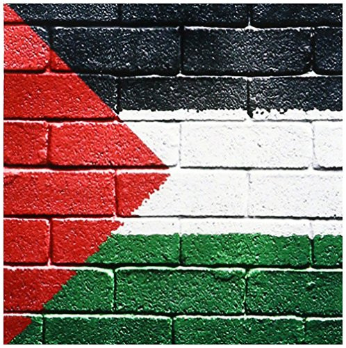 3dRose cst_156963_3 National Flag of Palestine Painted Onto a Brick Wall Palestinian Ceramic Tile Coaster (Set of 4)