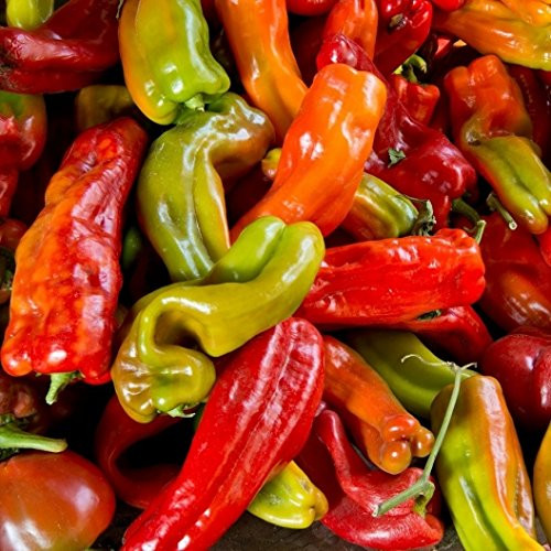 David s Garden Seeds Pepper Chili Anaheim 1120 -Green- 25 Non-GMO Heirloom Seeds David s Garden Seeds Pepper Chili Anaheim 1120 -Green- 25 Non-GMO Heirloom Seeds