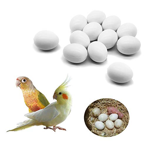 FOIBURELY 12 Pcs Solid Parrot Dummy Eggs Hatching Eggs Green Cheek  Lorikeet and Ringneck Dove  Quaker  Cockatiel. Trick The Birds to Stop Laying Eggs  Dummy Eggs