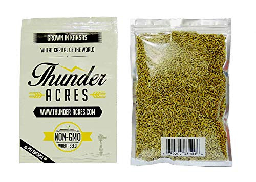 Non-GMO  Thunder Acres Premium Wheat Seed  Cat Grass Seed  Wheatgrass  Hard Red Winter Wheat -10 lbs.-