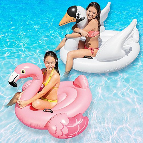 Intex Swan and Flamingo Ride-On Swimming Pool Floats Combo Pack