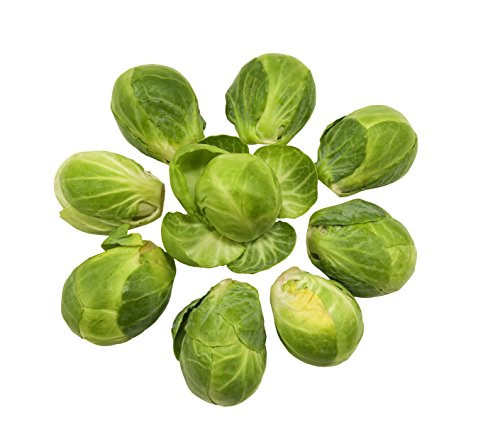 Sow No GMO Brussels Sprout Brussel Sprouts Long Island Non GMO Heirloom Vegetable 50 Seeds