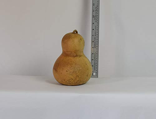 Dried Hard Shell Bottle Gourd - 6 inch Diameter