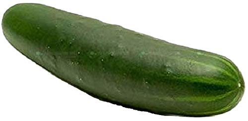 Sow No GMO Cucumber Long Green Improved Non GMO Heirloom Garden Vegetable 100 Seeds