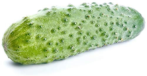 Sow No GMO Cucumber Boston Pickling Non GMO Heirloom Garden Vegetable 25 Seeds