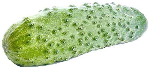 Sow No GMO Cucumber Boston Pickling Non GMO Heirloom Garden Vegetable 250 Seeds