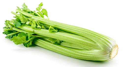Sow No GMO Celery Tall Utah 52-70 Non GMO Heirloom Garden Vegetable 100 Seeds