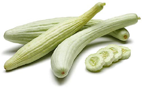 Sow No GMO Cucumber Armenian Yard Long Cuke Snake Melon Rare Non GMO Heirloom Pickling Vegetable 50 Seeds