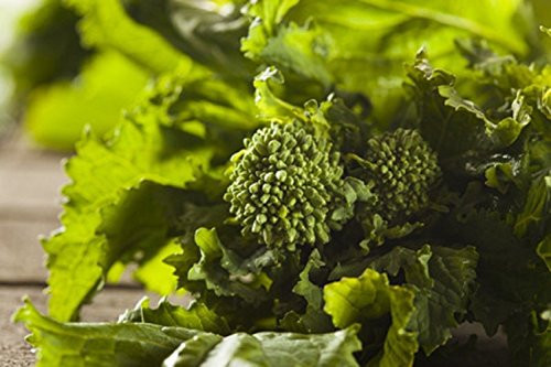 Sow No GMO Broccoli Raab Rabe Spring Rapini Leafy Broccolini Microgreens Sprouting Cruciferous Heirloom Vegetable 1000 Seeds