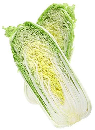 Sow No GMO Cabbage Napa Chinese Cabbage Barrel Head Heirloom Non GMO Asian Vegetable 200 Seeds