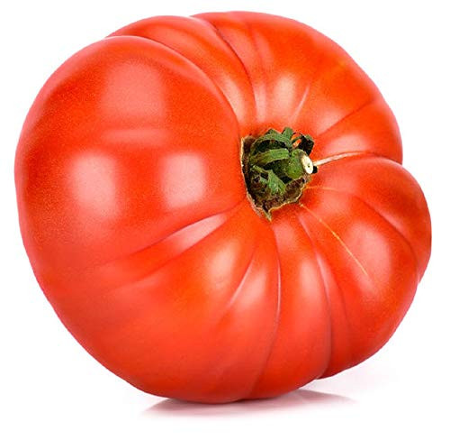 Sow No GMO Tomato Beefsteak Indeterminate Variety Great for Slicing and Stuffing Non GMO Heirloom Huge Garden Vegetable 200 Seeds