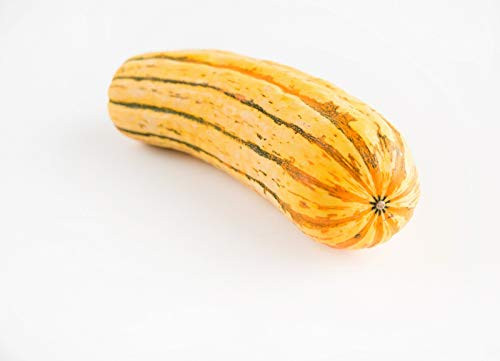Sow No GMO Squash Winter Delicata Non GMO Heirloom Garden Vegetable 25 Seeds