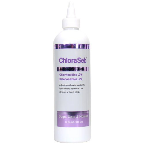 ChloraSeb Antiseptic Flush -12 fl oz-