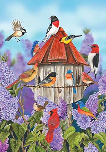 Briarwood Lane Birds and Lilacs Spring House Flag Cardinals Bluebirds 28 inch x 40 inch