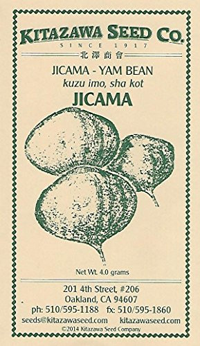 Jicama -Yam Bean- -True Jicama - 4.0 Grams