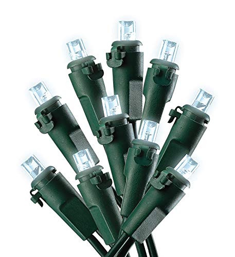 Celebrations LED Micro Light Set  Cool White 12.25 ft. 50 lights