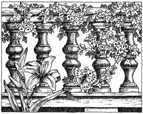 Daylily and Butterfly Wood Mounted Rubber Stamp -G1751-