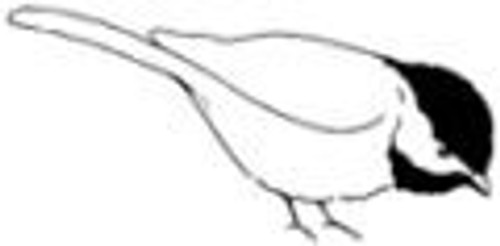 Chickadee 2 Wood Mounted Rubber Stamp -C8410-