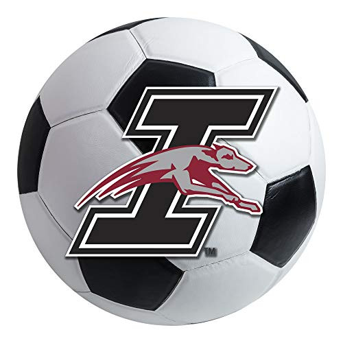 FANMATS NCAA University of Indianapolis Greyhounds Nylon Face Soccer Ball Rug