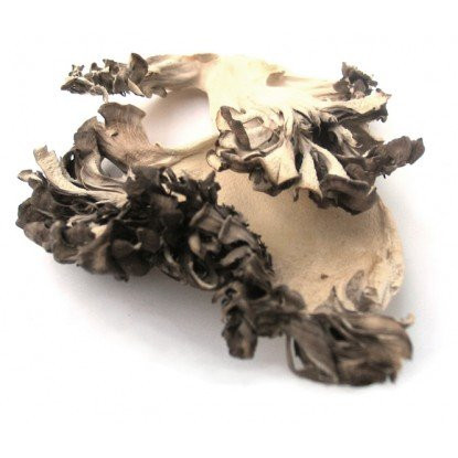 Dried Maitake Mushrooms -Hen of the Woods-- 8 oz. Life Gourmet Shop