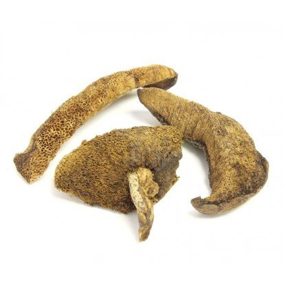 Dried Boletus Luteus -Chilean Mushroom-- 8 oz. Life Gourmet Shop