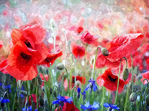 DIY 5D Diamond Painting by Number Kits?Crystal Rhinestone Diamond Painting Full Drill Embroidery for Adults and Beginner Diamond Arts Craft Home Decor Poppies Sea