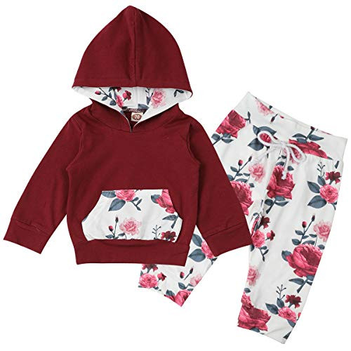 2pcs Infant Baby Girls Clothes Long Sleeve Hoodie with Floral Pants Outfit Sets for Fall Winter Spring -Red 0-6months- 2pcs Infant Baby Girls Clothes Long Sleeve Hoodie with Floral Pants Outfit Sets for Fall Winter Spring -Red 0-6months-