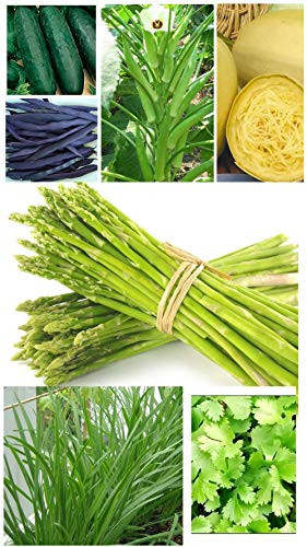 Heirloom Vegetable Mix Seeds 8 Varieties Seed Packets Non-GMO Spring Summer Garden Cucumber Celery