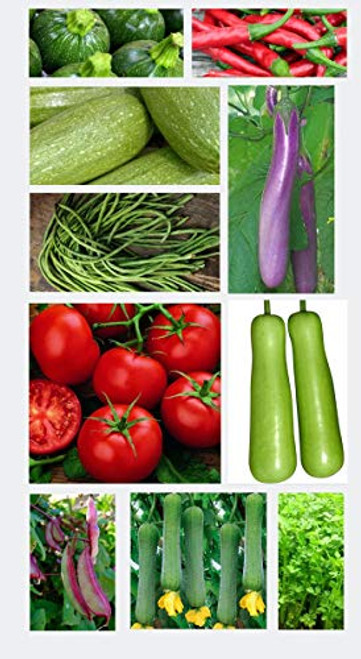 Heirloom Vegetable Mix Seeds 10 Varieties Seed Packets Non-GMO Spring Summer Garden