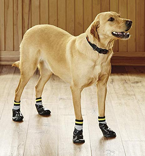 Orvis Dog Traction Socks   Dog Traction Socks  Set of 4  Medium