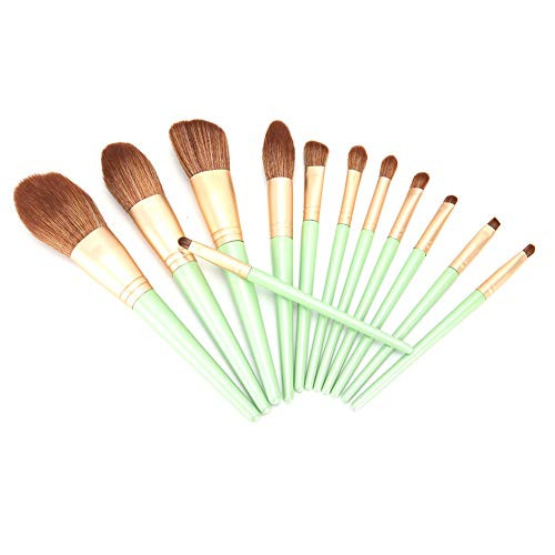 Blush Brush Cosmetic Brush Professional Makeup Brushes Set Eye Shadows Brushe Concealer Brushes for Travel for Woman and Girls for Salon for Beginners