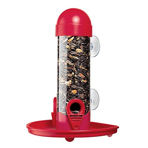 Perky-Pet 4626 Window Bird Feeder