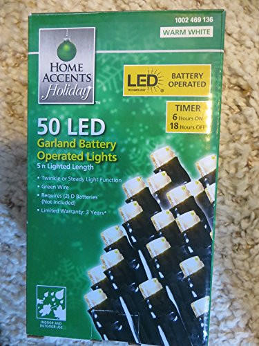 Home Accents 50 LED Garland Battery Operated Lights - Warm White with TIMER!