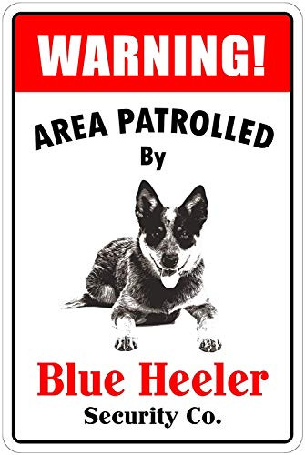 Lilyanaen New Tin Sign Warning Area Patrolled by Blue Heeler Novelty Dog Sign for Outdoor  and  Indoor 8 inchx12 inch
