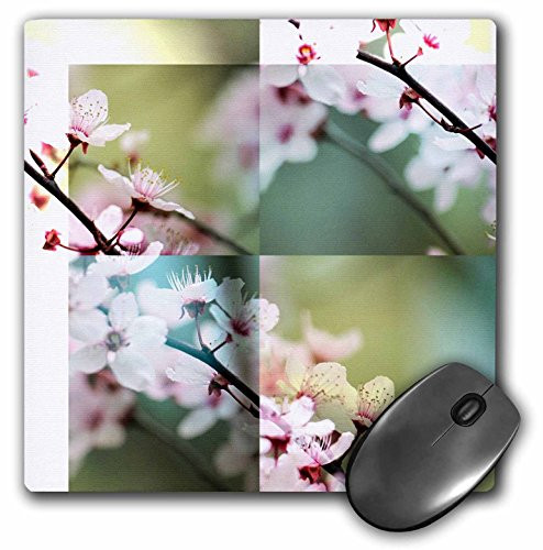 3dRose LLC 8 x 8 x 0.25 Inches Spring Cherry Blossom Abstract Pink Flowers Photography Pattern Mouse Pad -mp_47224_1-