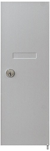 Salsbury Industries 3551ALM Replacement Door and Lock for Vertical Mailbox with Keys, Aluminum
