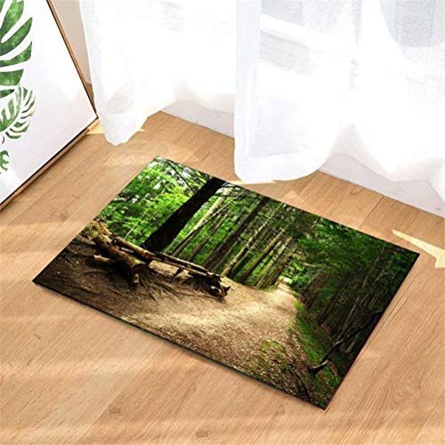 Door Mat Rug Indoor Front Door Shower Bathroom Entrance Mats Rugs Doormat  Non-Slip Doormats  Floor Entryways  Kids Bath Mat  15.7X23.6In.Green Forest.