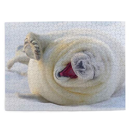 White Seal Puzzles for Adults 500 Piece Jigsaw Puzzles Challenging 500 Piece Puzzle Educational Family Game DIY Mural Toys Gift for Adults Kids Teens Jigsaw Puzzles