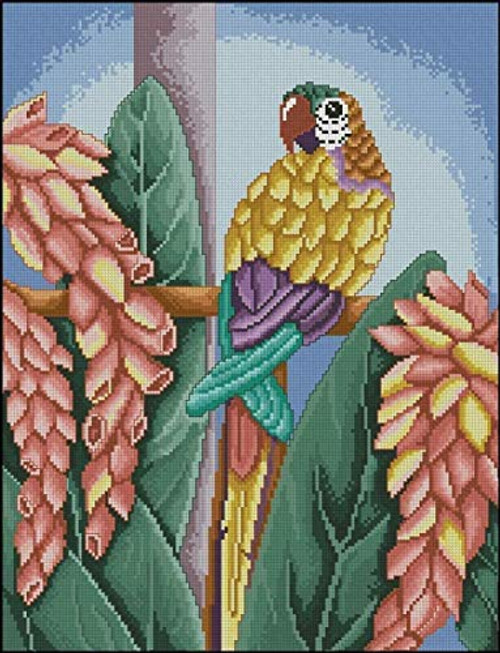 QLCUY Cross Stitch Embroidery Starter Kits Stamped Beginners Embroidery Beach Sunset 16x20inch Kids or Adults Pre-Printed Fabric DIY Embroidery Crafts Needlepoint Kit Cross Stitch Home Decor 11CT QLCUY Cross Stitch Embroidery Starter Kits Stamped Beginners Embroidery Beach Sunset 16x20inch Kids or Adults Pre-Printed Fabric DIY Embroidery Crafts Needlepoint Kit Cross Stitch Home Decor 11CT