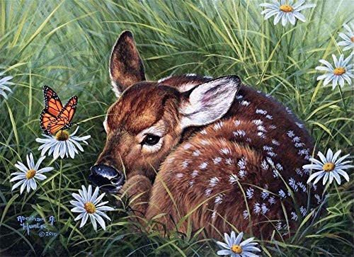 Cross Stitch Embroidery Starter Kits Stamped Beginners Embroidery 16x20inch on SikaDeer grass Kids or Adults Pre-Printed Fabric DIY Embroidery Crafts Needlepoint Kit Cross Stitch Home Decor 11CT