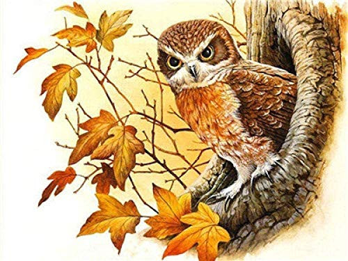 QLCUY Cross Stitch Embroidery Starter Kits Stamped Beginners Embroidery Sunset 16x20inch Kids or Adults Pre-Printed Fabric DIY Embroidery Crafts Needlepoint Kit Cross Stitch Home Decor 11CT QLCUY Cross Stitch Embroidery Starter Kits Stamped Beginners Embroidery Sunset 16x20inch Kids or Adults Pre-Printed Fabric DIY Embroidery Crafts Needlepoint Kit Cross Stitch Home Decor 11CT