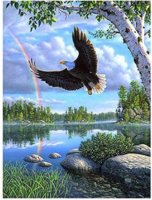QLCUY Cross Stitch Embroidery Starter Kits Stamped Beginners Embroidery Flying Eagle 16x20inch Kids or Adults Pre-Printed Fabric DIY Embroidery Crafts Needlepoint Kit Cross Stitch Home Decor 11CT