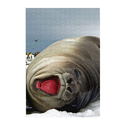 Seal Puzzles for Adults 300 Piece Jigsaw Puzzles Challenging 300 Piece Puzzle Educational Family Game DIY Mural Toys Gift for Adults Kids Teens Jigsaw Puzzles