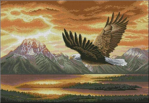 QLCUY Cross Stitch Embroidery Starter Kits Stamped Beginners Embroidery Eagle Sunset 16x20inch Kids or Adults Pre-Printed Fabric DIY Embroidery Crafts Needlepoint Kit Cross Stitch Home Decor 11CT QLCUY Cross Stitch Embroidery Starter Kits Stamped Beginners Embroidery Eagle Sunset 16x20inch Kids or Adults Pre-Printed Fabric DIY Embroidery Crafts Needlepoint Kit Cross Stitch Home Decor 11CT