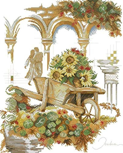QLCUY Cross Stitch Embroidery Starter Kits Stamped Beginners Embroidery Flower Guitar 40x50cm Kids or Adults Pre-Printed Fabric DIY Embroidery Crafts Needlepoint Kit Cross Stitch Home Decor 11CT