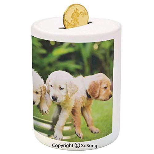 Dog Lover Decor Ceramic Piggy Bank Adorable Group of Golden Retriever Puppies in The Yard Spring Friendly Family Friend 3D Printed Ceramic Coin Bank Money Box for Kids  and  Adults