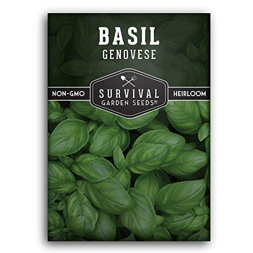 Survival Garden Seeds - Genovese Basil Seed for Planting - Packet with Instructions to Plant and Grow Your Home Vegetable Garden - Non-GMO Heirloom Variety