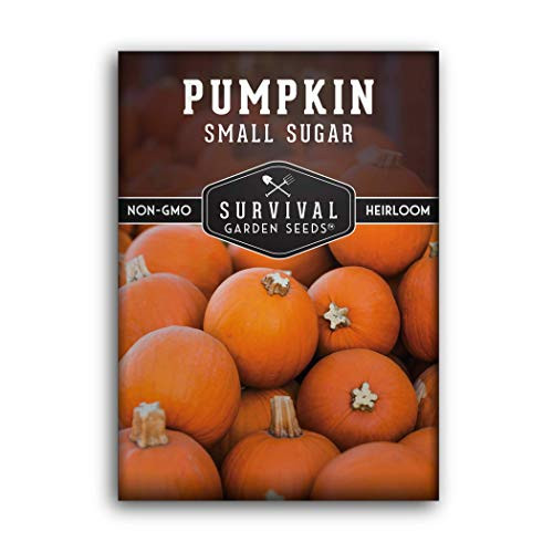 Survival Garden Seeds -Small Sugar Pumpkin Seed for Planting - Packet with Instructions to Plant and Grow Your Home Vegetable Garden - Non-GMO Heirloom Variety