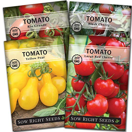 Sow Right Seeds - Cherry Tomato Seed Collection for Planting - Black Cherry  Yellow Pear  Large Red Cherry  and Rio Grande Tomatoes. Non-GMO Heirloom Varieties to Plant and Grow Home Vegetable Garden